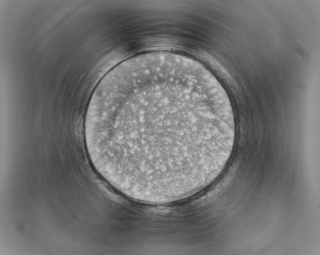 X0000111351329200908211226
