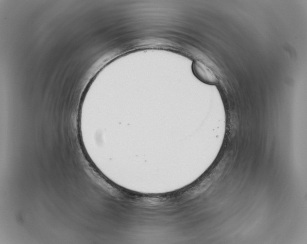 X0000111351330200908211226