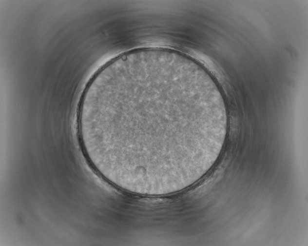 X0000111351331200908211226
