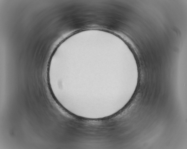 X0000111351333200908211226