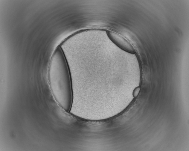 X0000111351336200908211226