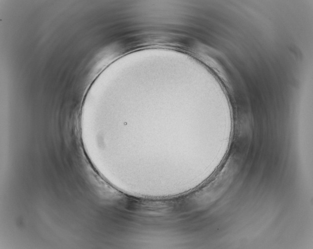 X0000111351338200908211226