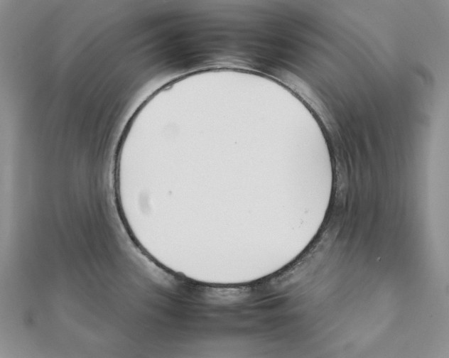 X0000111351339200908211226