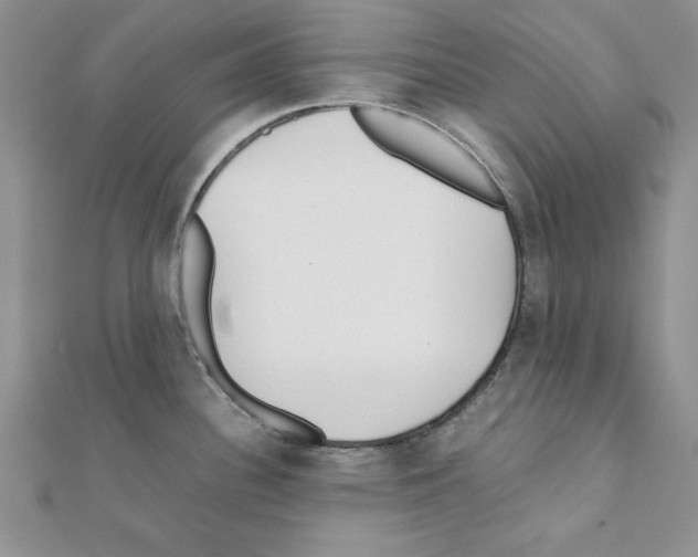 X0000111351340200908211226