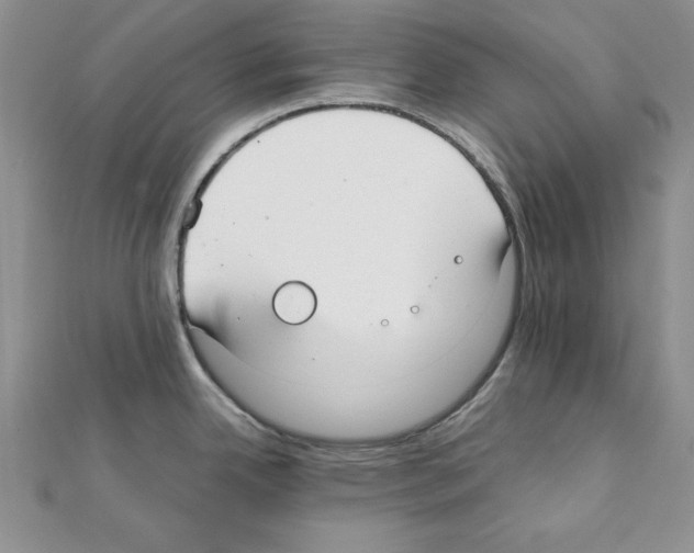 X0000111351342200908211226