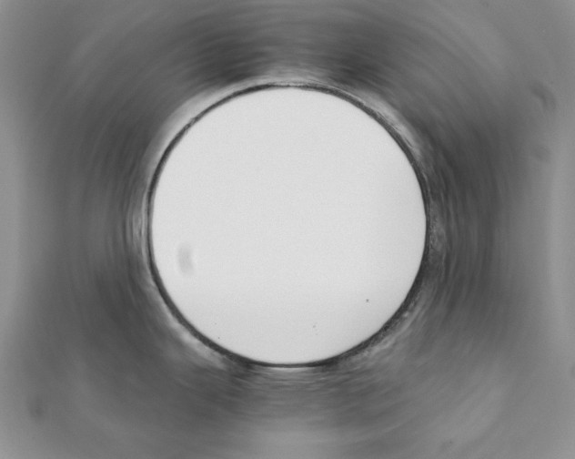 X0000111351343200908211226