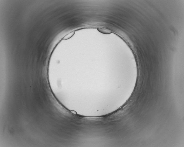 X0000111351344200908211226