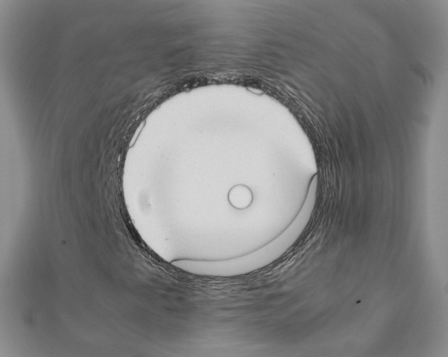 X0000111351345200908211226