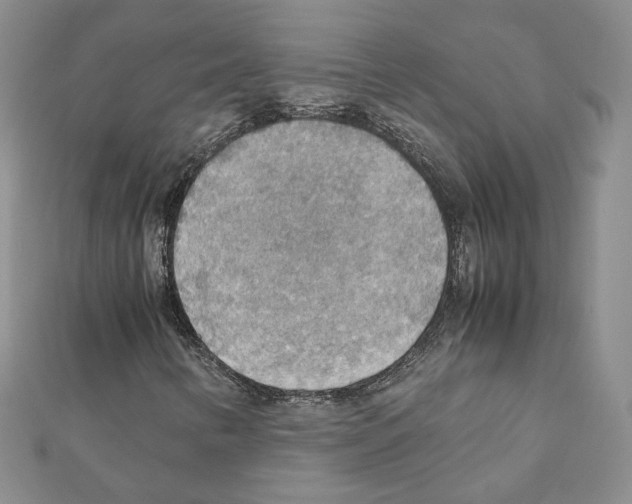 X0000111351346200908211226