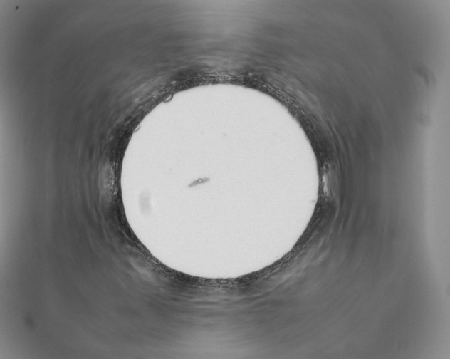 X0000111351347200908211226