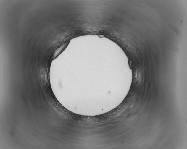 X0000111351348200908211226