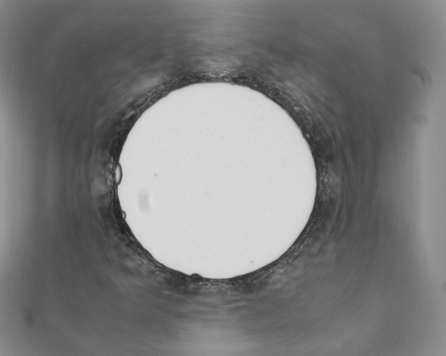 X0000111351349200908211226