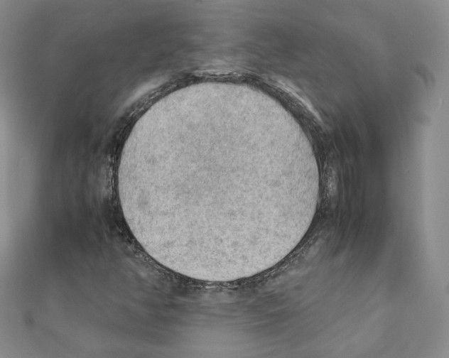 X0000111351350200908211226