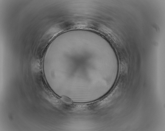 X0000111351353200908211226