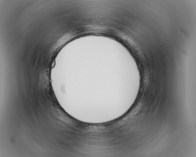 X0000111351354200908211226