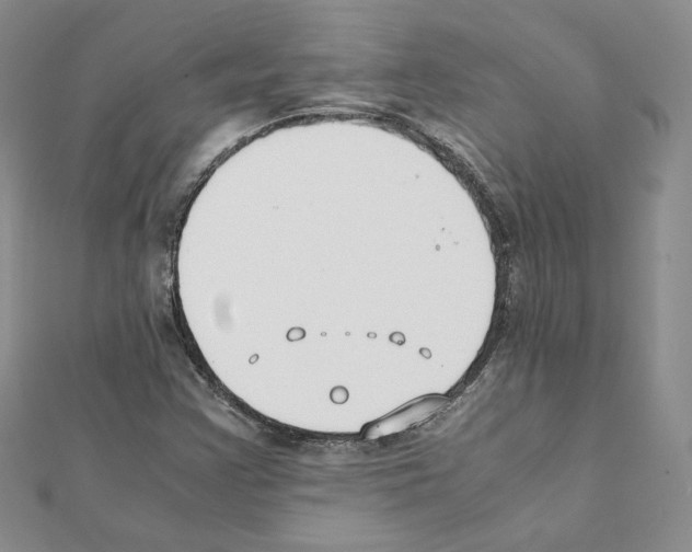 X0000111351355200908211225