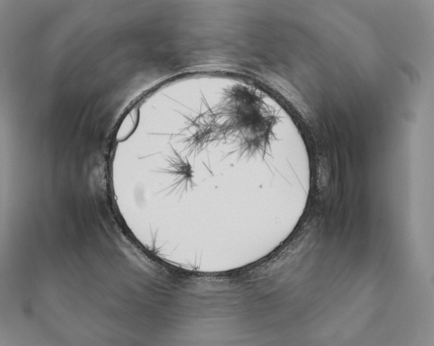 X0000111351356200908211225