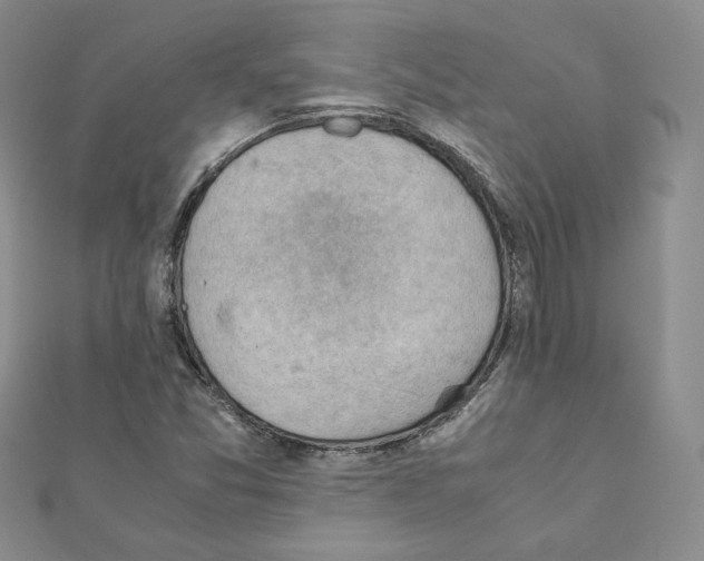 X0000111351357200908211225