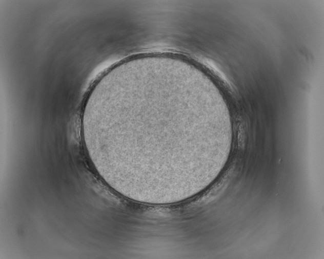 X0000111351358200908211225