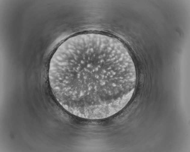 X0000111351359200908211225