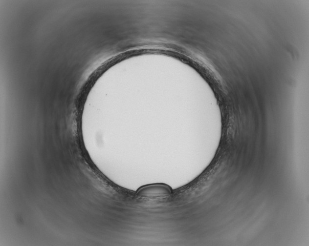 X0000111351360200908211225