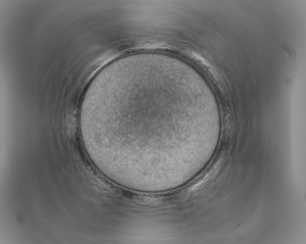 X0000111351361200908211225