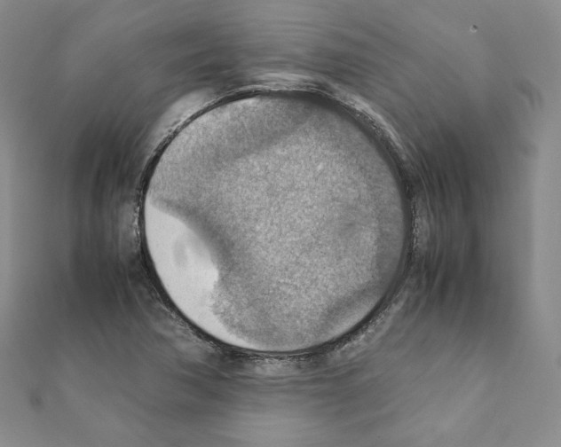 X0000111351362200908211225