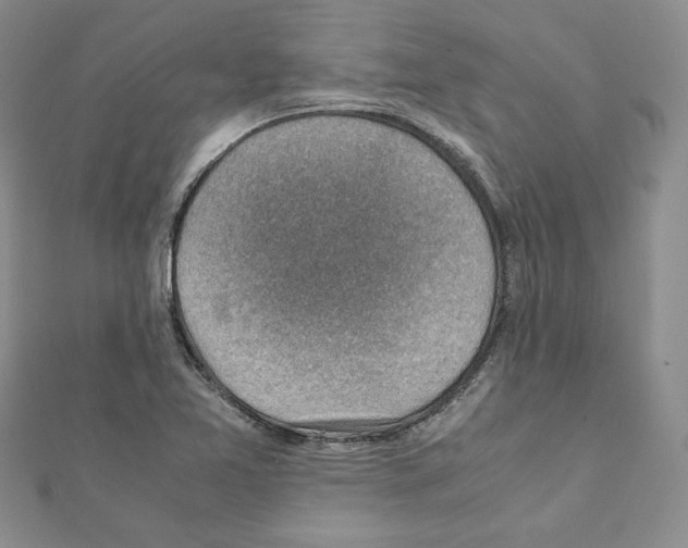 X0000111351365200908211225