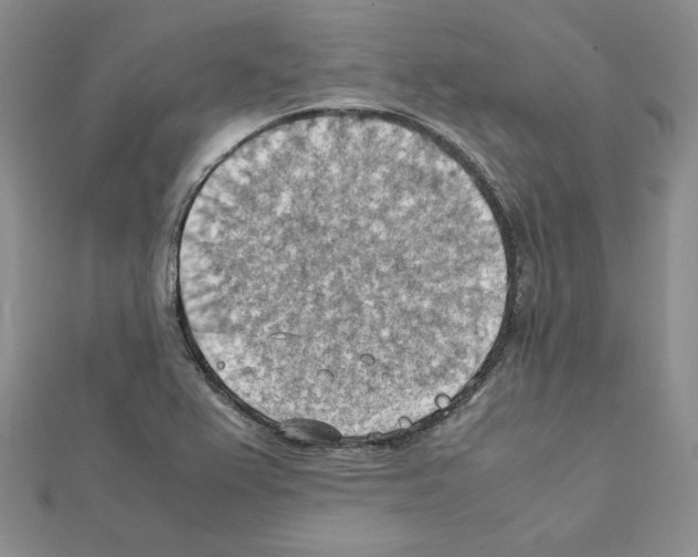 X0000111351367200908211225