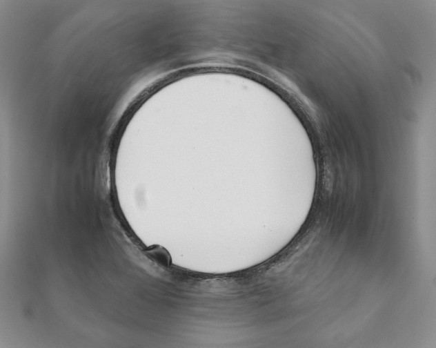 X0000111351368200908211225