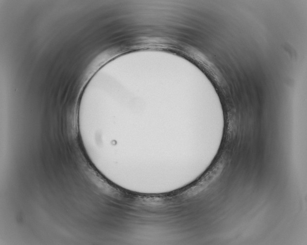 X0000111351370200908211225
