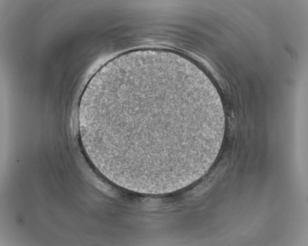 X0000111351371200908211225
