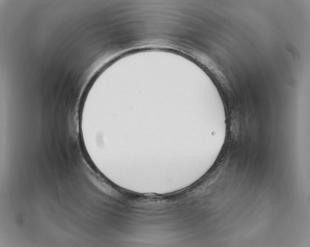 X0000111351372200908211225
