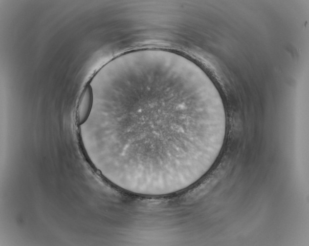 X0000111351373200908211225