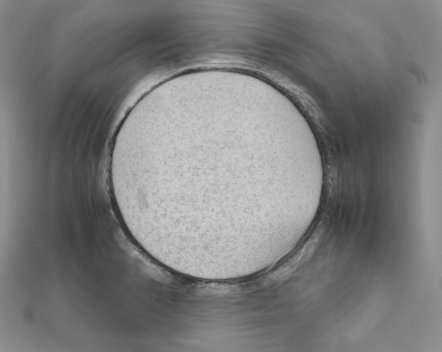 X0000111351374200908211225