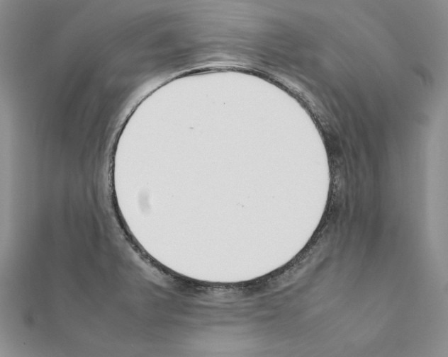 X0000111351375200908211225