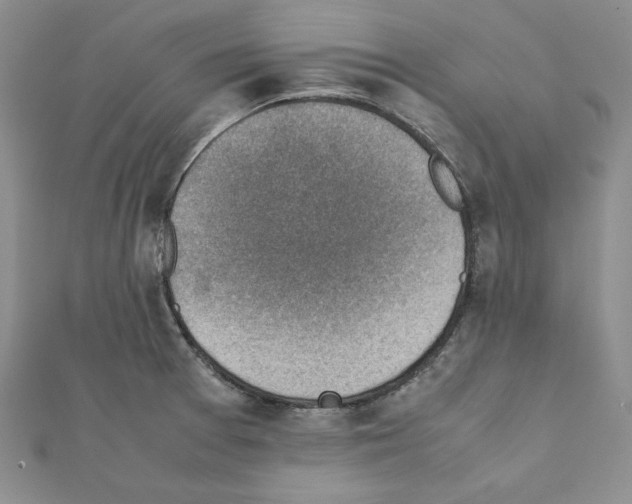 X0000111351377200908211225
