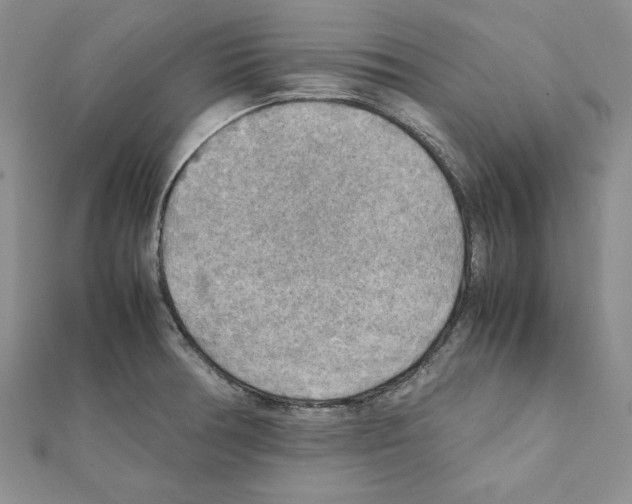 X0000111351378200908211225
