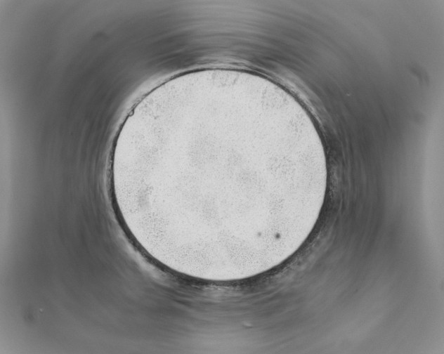 X0000111351379200908211225