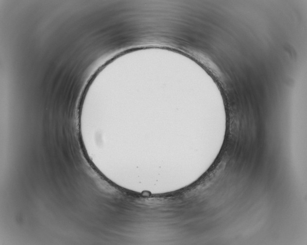 X0000111351380200908211225