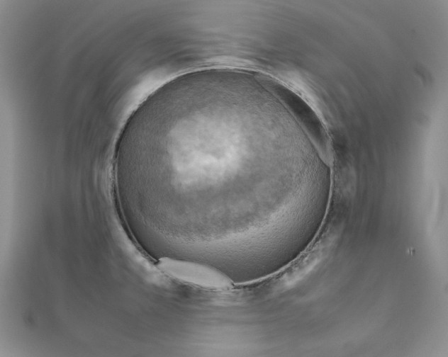 X0000111351381200908211225
