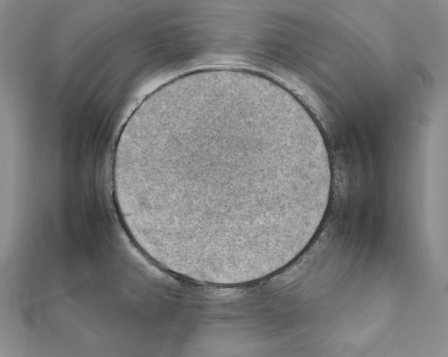 X0000111351382200908211225