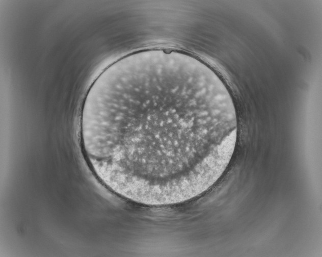X0000111351383200908211225