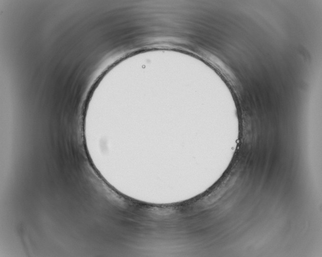 X0000111351384200908211225