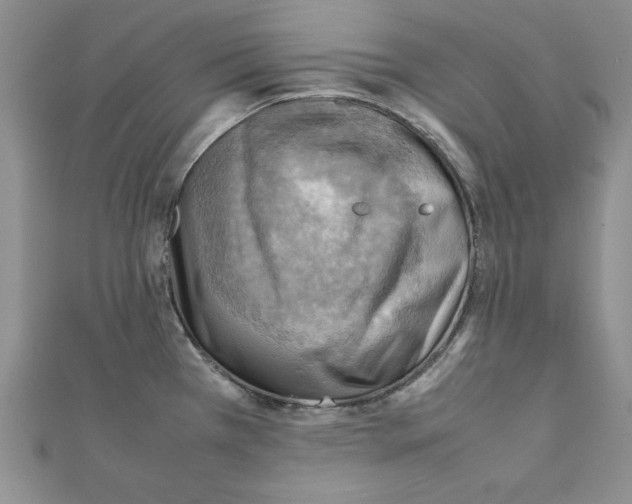 X0000111351385200908211225