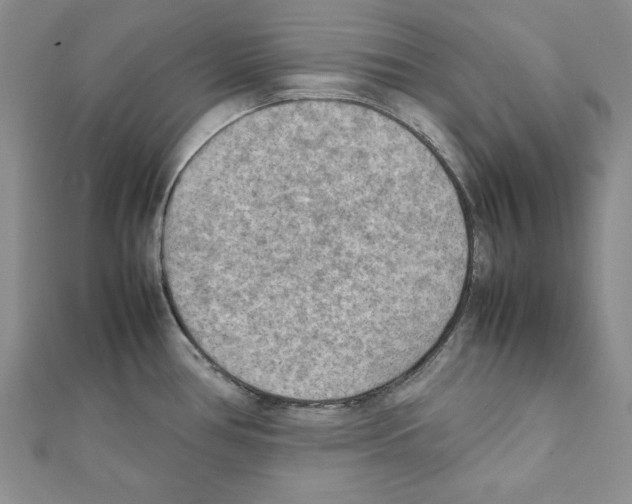 X0000111351386200908211225