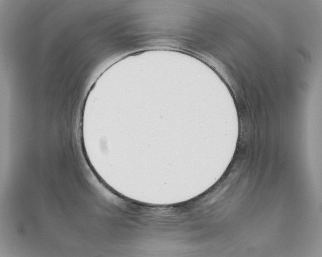X0000111351387200908211225