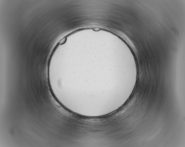 X0000111351388200908211225