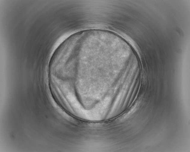 X0000111351389200908211225