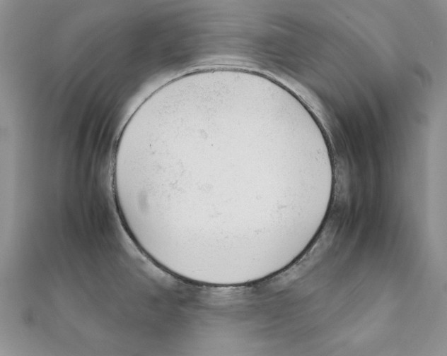 X0000111351390200908211225